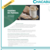 HARINA CHACABUCO MASA MADRE X 1 KG - Imagen 3