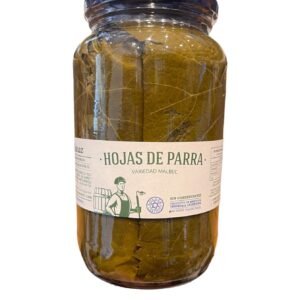 HOJAS DE PARRAS RECETAS DE ENTONCES