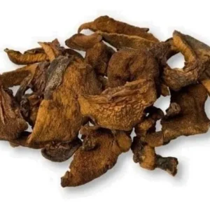 HONGOS  DE PINO SECOS 70 GR