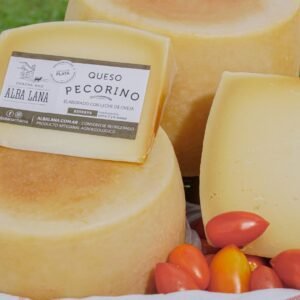 QUESO PECORINO ALBA LANA  X 1OO GR  ENVASADO AL VACIO