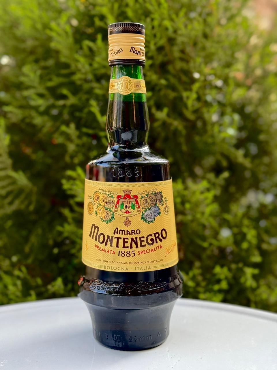 DIA DEL PADRE - AMARO MONTENEGRO