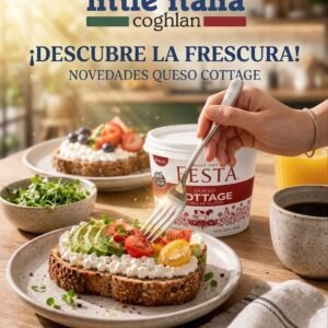 QUESO COTTAGE FESTA  250 GR